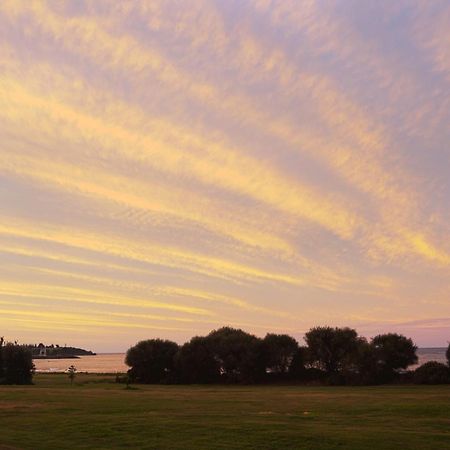 Discovery Parks – Devonport Exterior foto